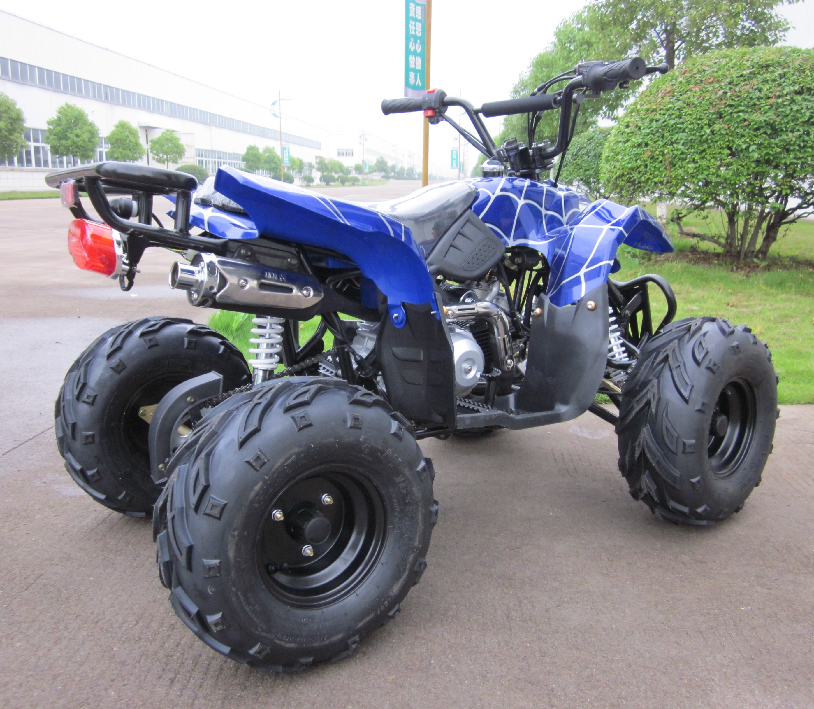 Kids Gift Mini Quad 125cc ATV 4 Wheel Quad Bike