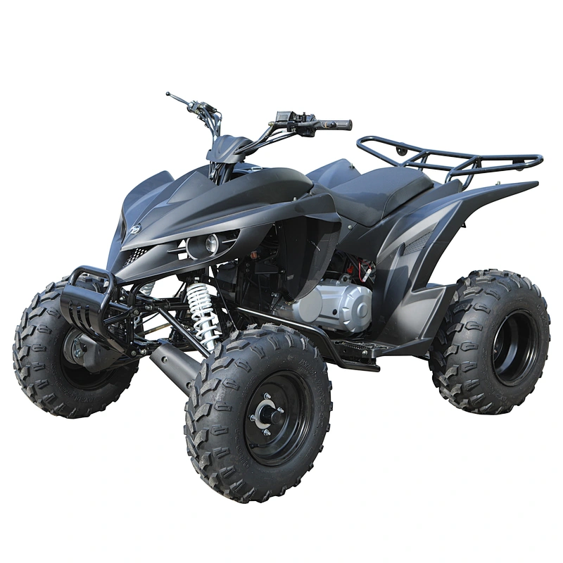 Economical custom design EEC 4*2 chain drive cvt 200cc cheap sport atv racing quad