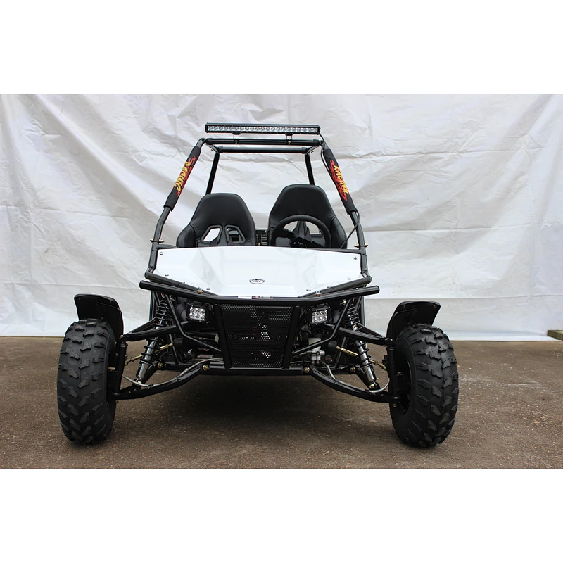 Top Sale Guaranteed Quality hot selling customized centrifugal sandbeach go kart adult 200cc buggy