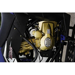 150cc or 200CC adults powerful stable atv and quad bike