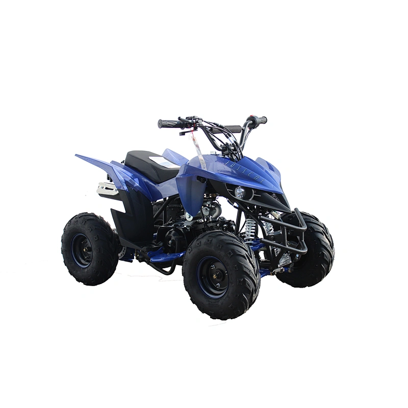 Factory directly wholesale good quality cheap price 110cc kids quad for sale and atv for sale