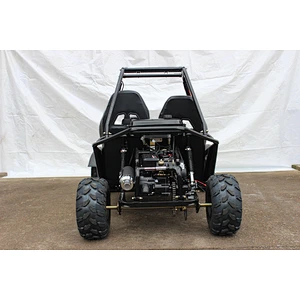 Top Sale Guaranteed Quality hot selling customized centrifugal sandbeach go kart adult 200cc buggy