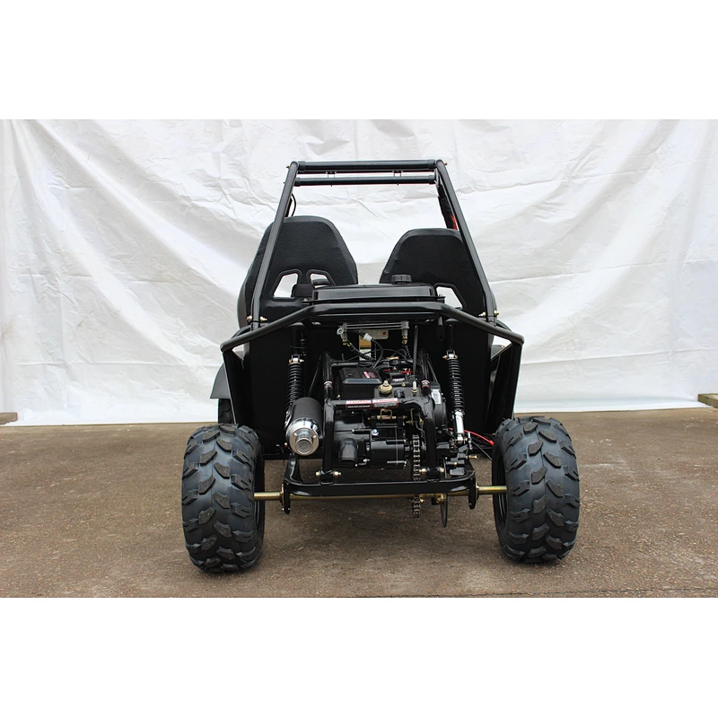 Top Sale Guaranteed Quality hot selling customized centrifugal sandbeach go kart adult 200cc buggy
