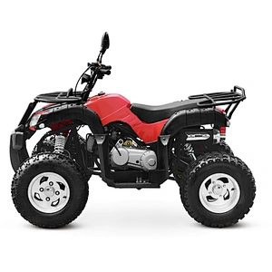 200cc ATV adult quad bike balance engine 4-stroke MDL 200AUG