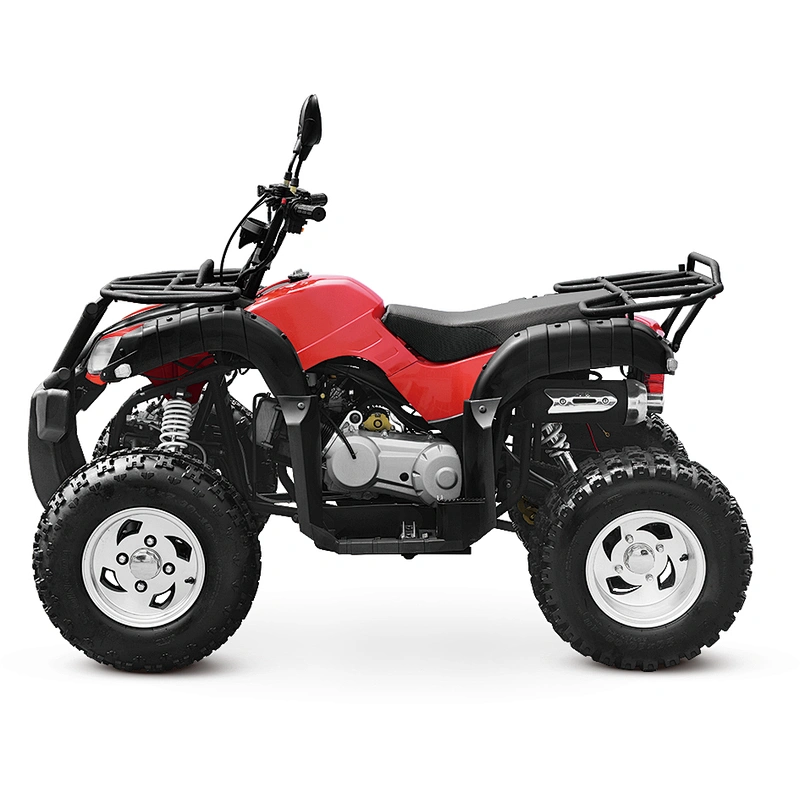 200cc ATV adult quad bike balance engine 4-stroke MDL 200AUG