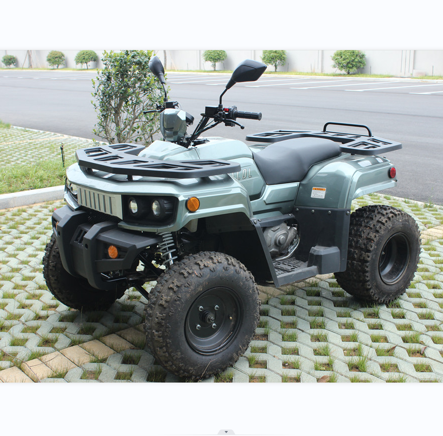 300cc Atv Quad Adult Popular Diesel Power SOHC Engine Automatic single cylinder 4 stroke water cooling