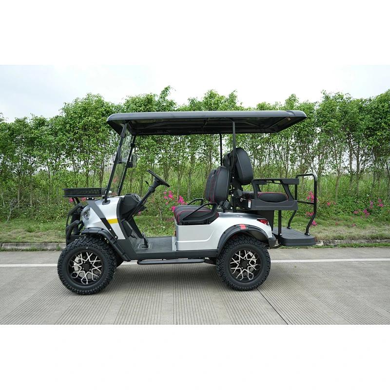 5000W 48V 150AH Electric Golf Cart   multi-purpose electric sightseeing car convertible sight seeing car