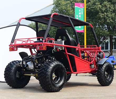 Motors Gas Powerd Chain Drive 4 Wheeler Off Road Buggy 4X2