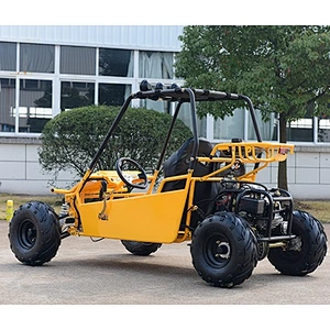 125cc 110cc Kids go kart mini Dune Buggy
