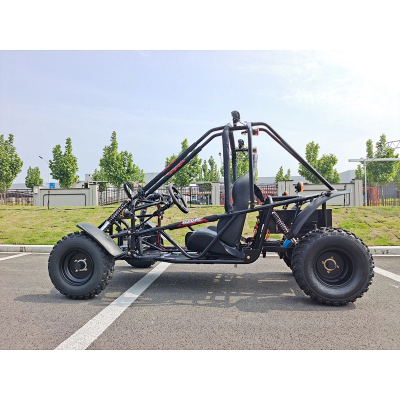 3KW Electric Dune Buggy and Go Kart 4 Wheel Electric power with Lithium Battery