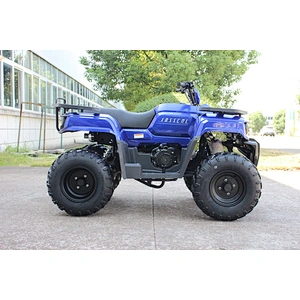 300cc UTILITY ATV QUAD BIKE 300