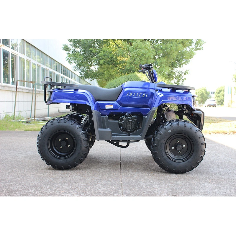 300cc UTILITY ATV QUAD BIKE 300