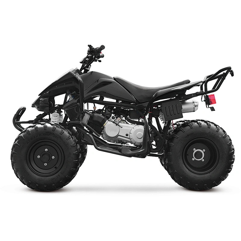 200CC gasoline balance engine ATV 4*2 chain drive automatic MDL 200ASG-2