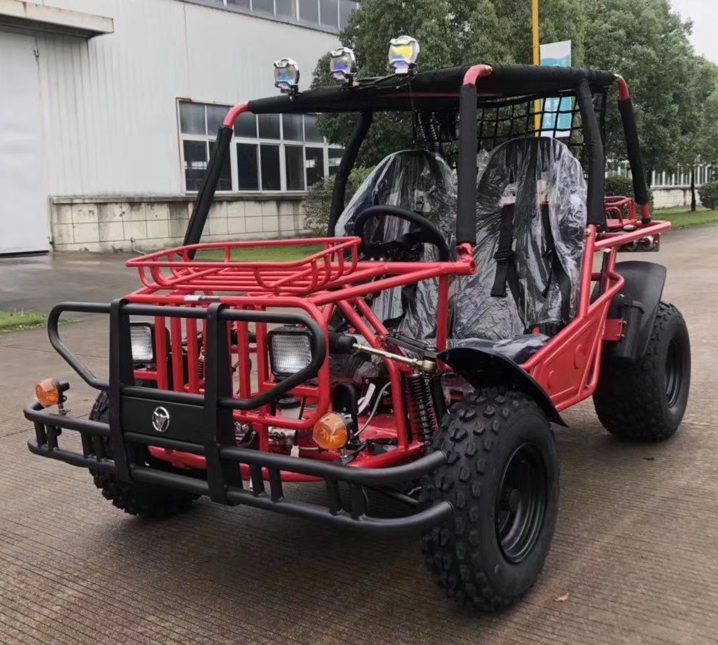 200CC CVT Go Kart Automatic Dune Buggy Racing Go Kart
