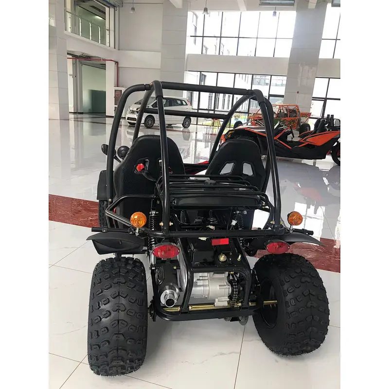 200CC sand buggy off road go kart adult off road dune buggy two seat chain drive