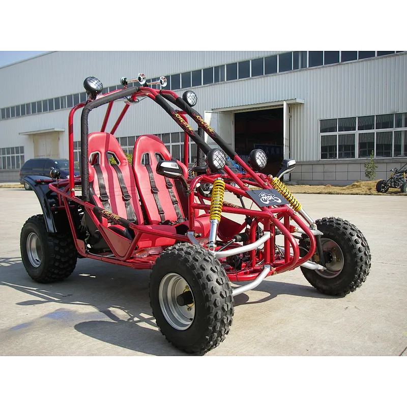 Cheap 200cc 4 Stroke High Speed Adult Racing Go Kart/Karting