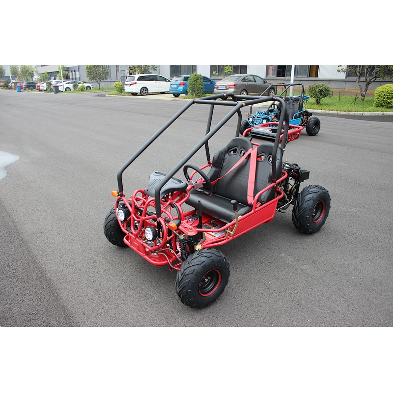 110cc/125cc OFF ROAD MINI GO KART SAND BUGGY FOR KIDS