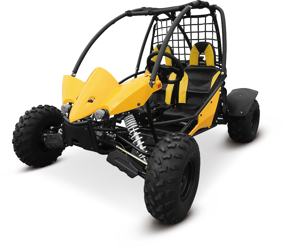 150CC 200cc go kart sand buggy two seat adult model