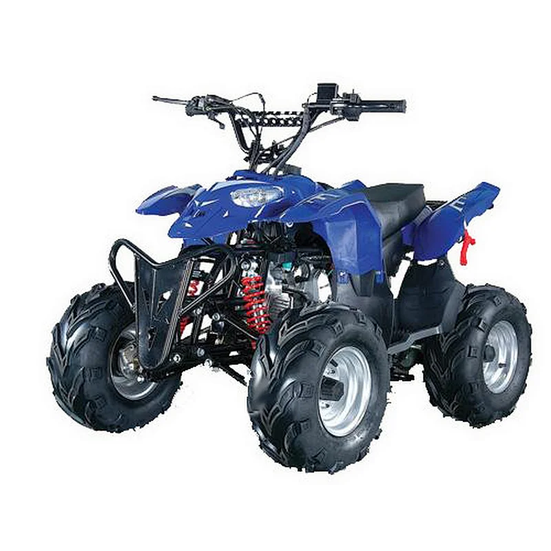 CE gas motorcycle 110cc and 125cc cheap ATV for kids