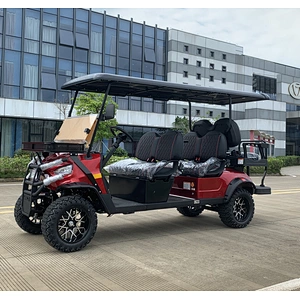 5KW CE Approved 2 Seats 150AH Electric Golf Cart Electric Golf Buggy