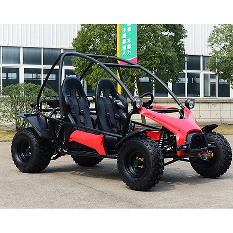Racing adult Go Kart buggy 200CC cheap gas powered Go Kart