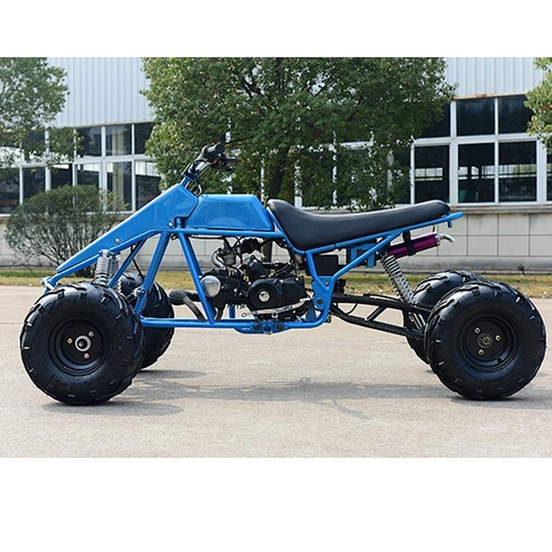 CE 110CC 125CC 150CC Mini quad atvs for Kids