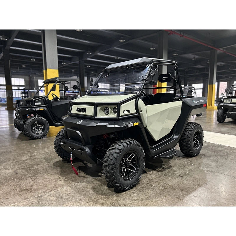 4*4 Lithium battery Electric UTV