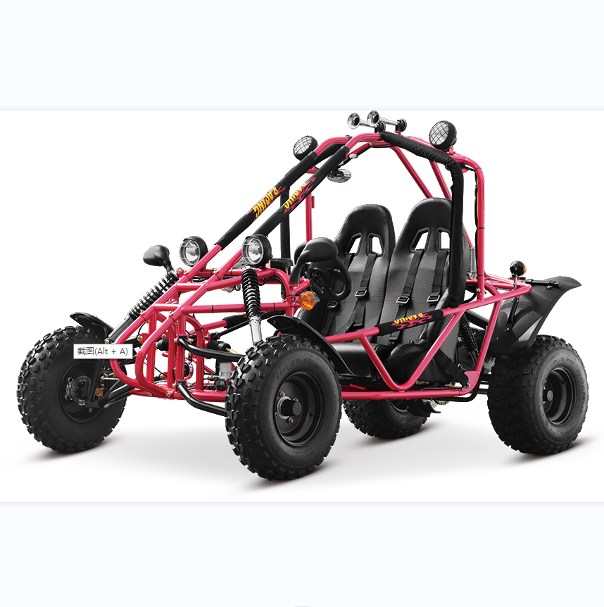 150cc off road go kart two seat 4 stroke buggy