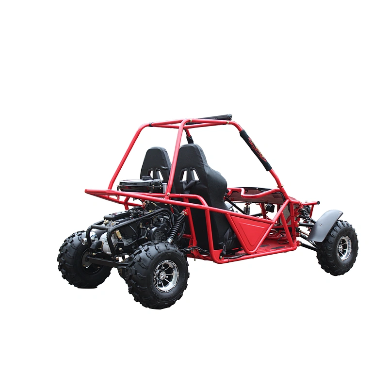 High power beach car gas double seat adults go kart 200 cc