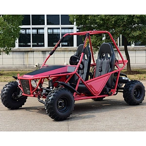 On road tire gas go kart CE certificate 200cc mini UTV