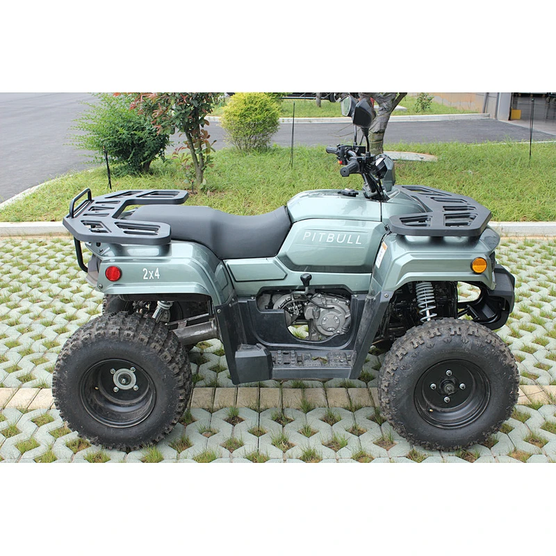 300cc Atv Quad Adult Popular Diesel Power SOHC Engine Automatic single cylinder 4 stroke water cooling