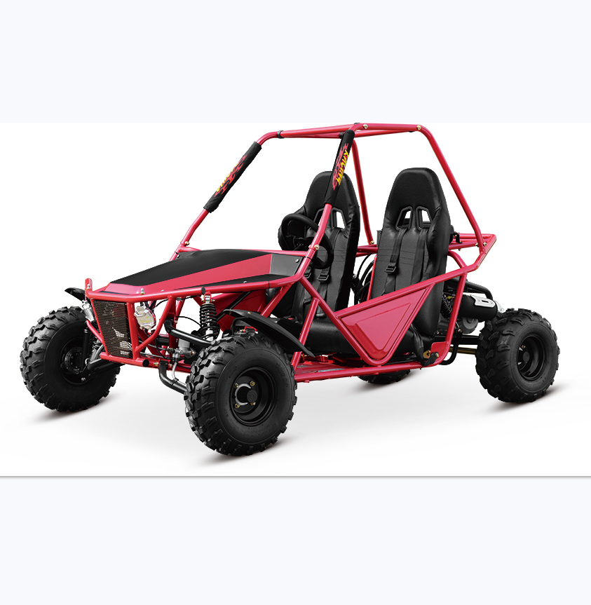 kandi 150cc 200cc  gas go kart sand buggy 4 stroke two seat off road automatic  dune buggy adult