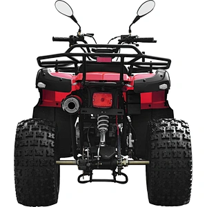 200cc ATV adult quad bike balance engine 4-stroke MDL 200AUG