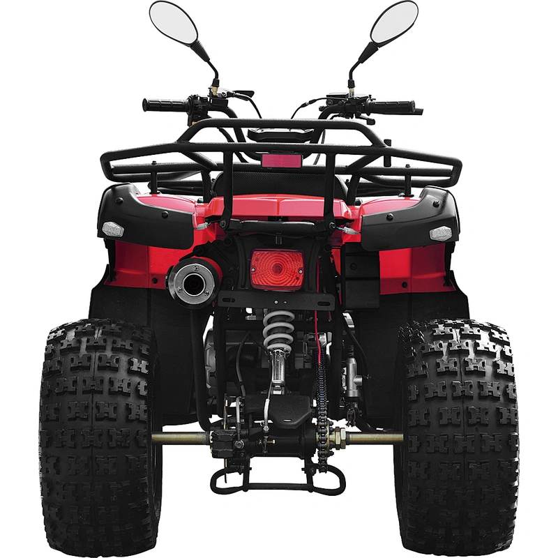 200cc ATV adult quad bike balance engine 4-stroke MDL 200AUG