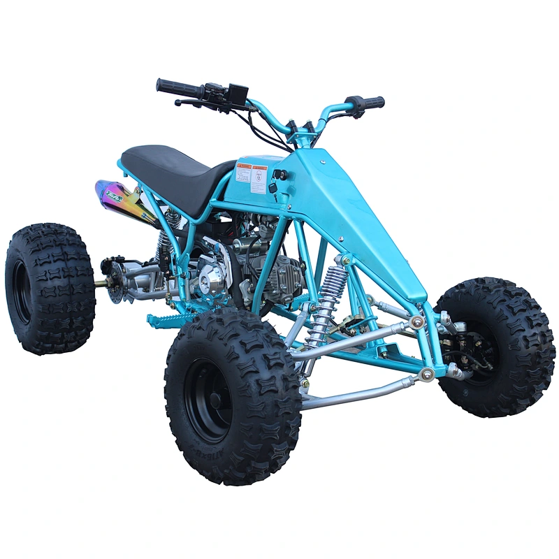 2019 New sale EPA 4 wheel quad bike kids electric mini atv 125cc quad