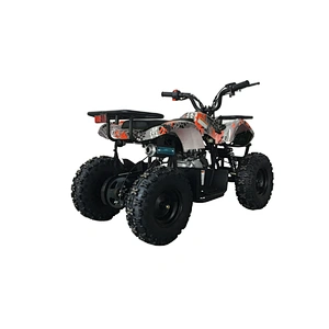 New type top sale unique engine outstanding design 60cc four Stroke 4 wheels quad bike for sale