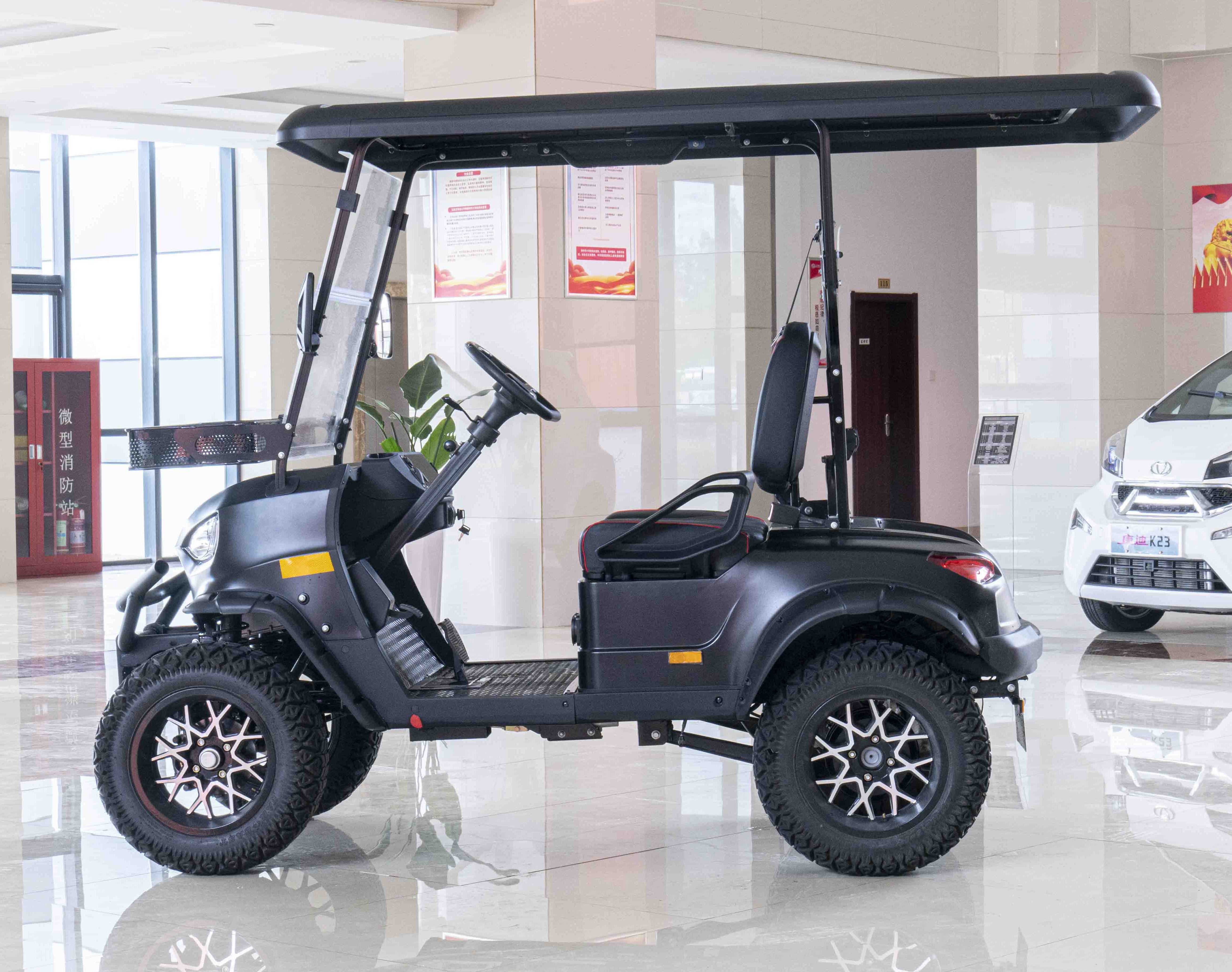 COC Electric Golf Cart, 150ah EEC Electric Golf Cart