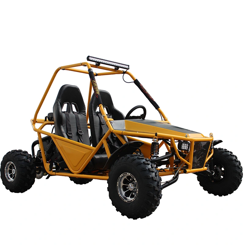 Hot selling 200CC EPA Race 4 stroke 2 seat gas powered go karts for adult