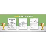 OUR CERTIFICATE