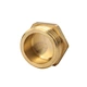 brass caps