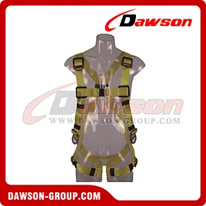 DS5137 Safety Harness EN361
