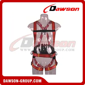 DS5108 Safety Harness EN361