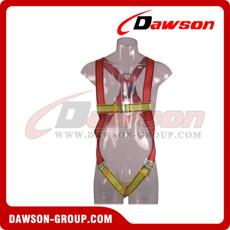 DS5101 Safety Harness EN361