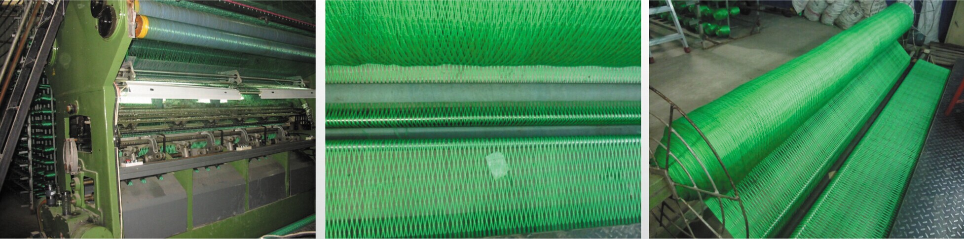 cargo nets for european market - Dawson Group LTD. - China Manufacturer, Supplier, Factory
