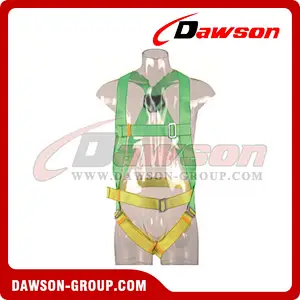DS5121 Safety Harness EN361