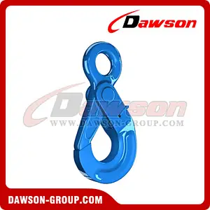 DS1003 G100 Eye Sling Hook with Latch for Chain Slings