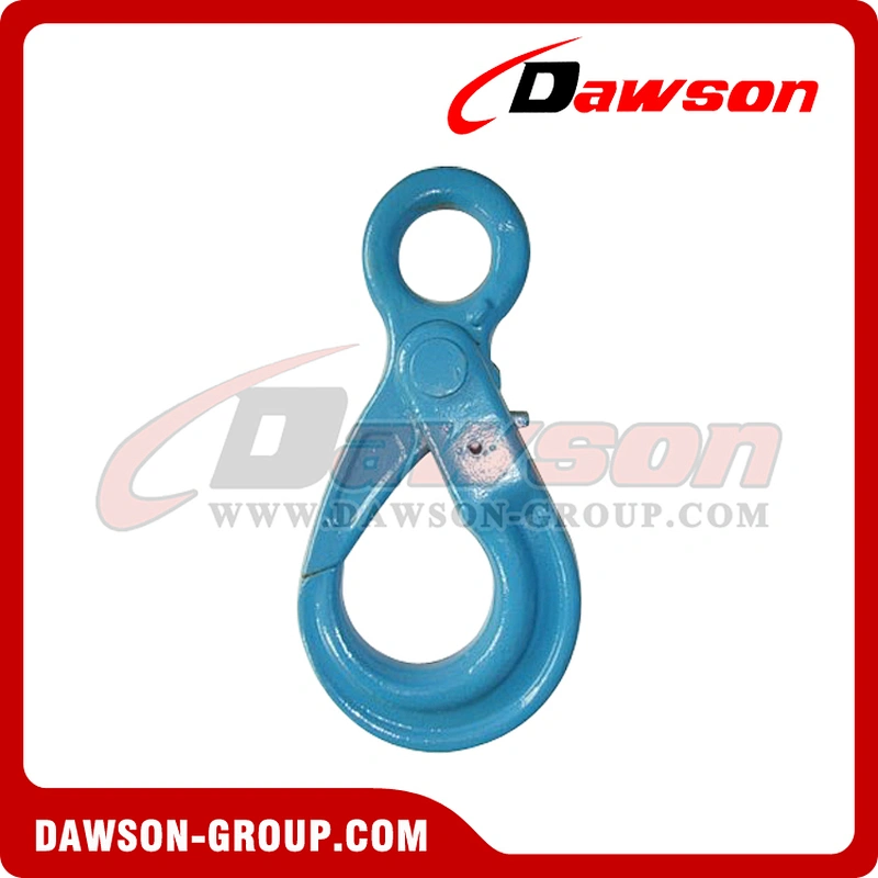 DS1003 G100 Eye Sling Hook with Latch for Chain Slings