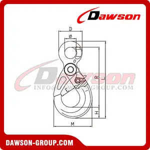 DS765 G80 European Type Eye Self-lock Hook