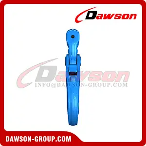 DS1017 G100 Special Clevis Self-locking Hook with Grip Latch for Chain Slings