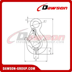DS380 G80 Eye Sling Hook with Latch